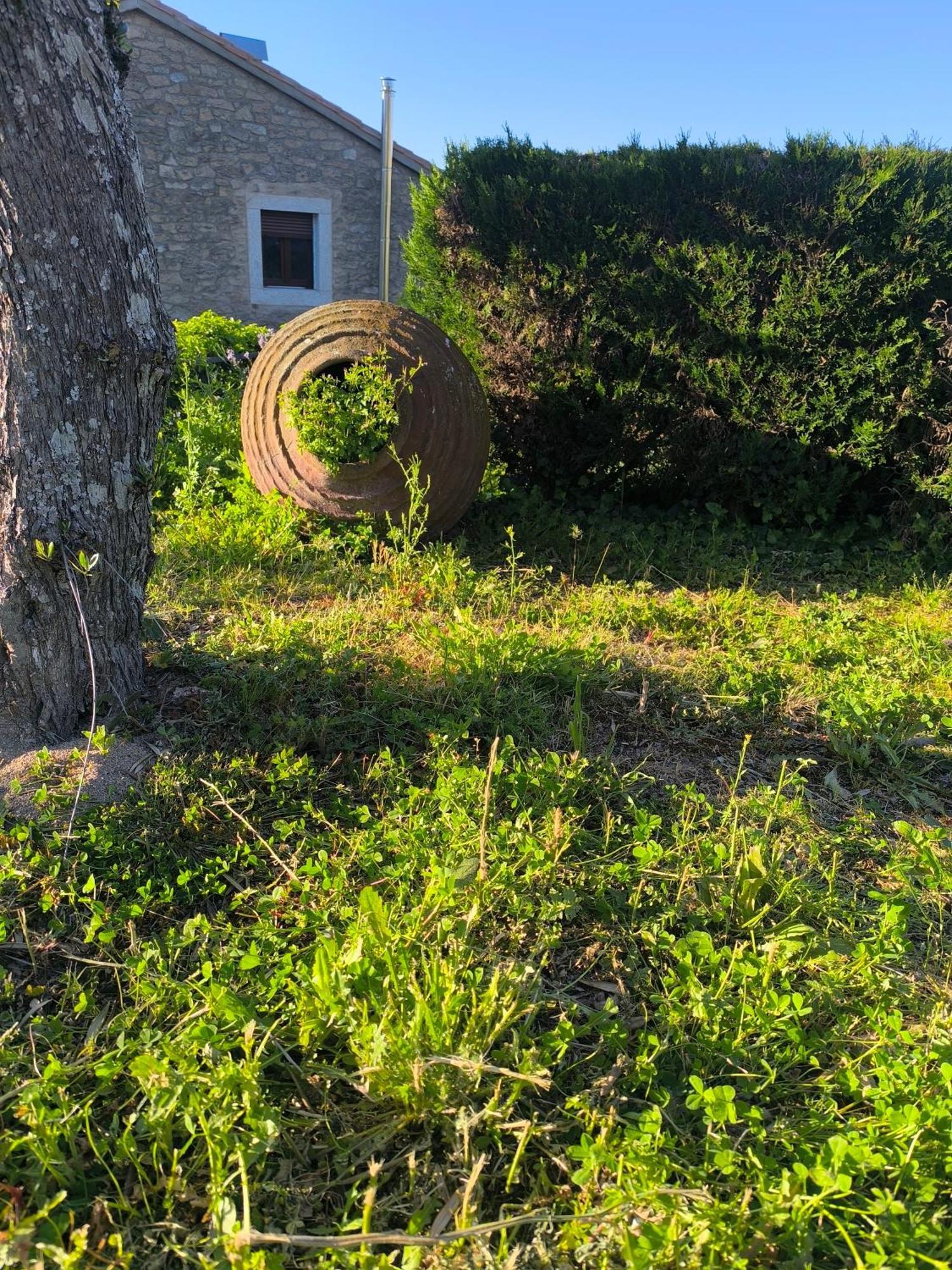 Cabanas Miraduero Aldeadávila de la Ribera Exteriör bild